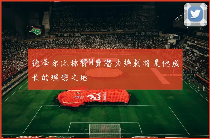 德泽尔比称赞M费潜力热刺将是他成长的理想之地