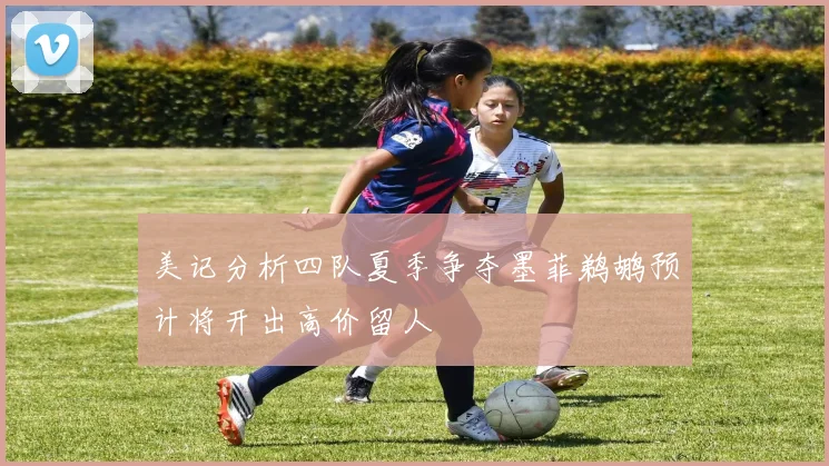 美记分析四队夏季争夺墨菲鹈鹕预计将开出高价留人