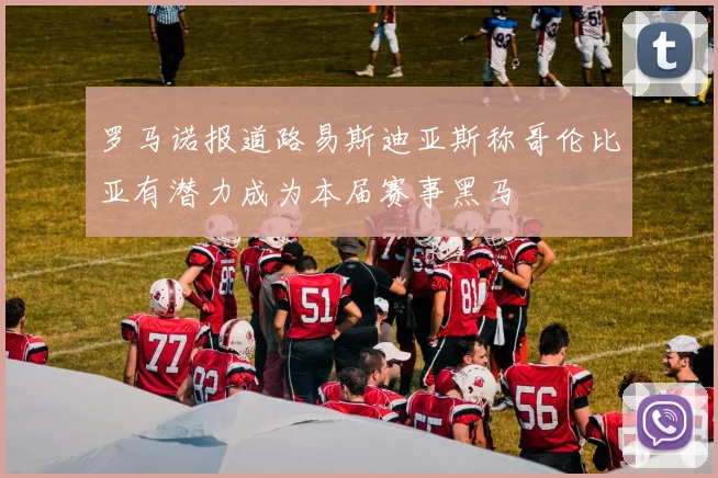 罗马诺报道路易斯迪亚斯称哥伦比亚有潜力成为本届赛事黑马