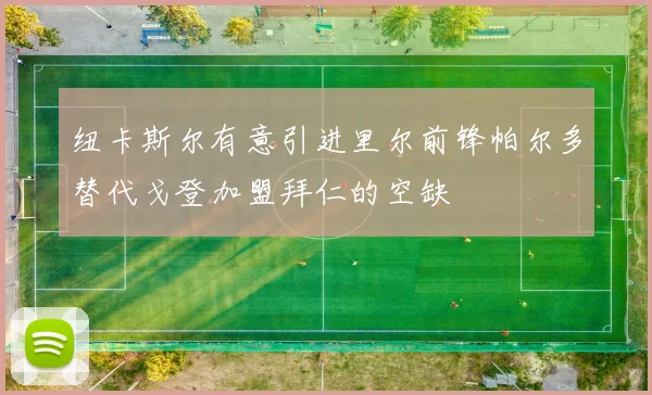纽卡斯尔有意引进里尔前锋帕尔多替代戈登加盟拜仁的空缺